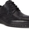 ECCO Men's ST.1 Hybrid Lite Wingtip Brogue 1 ECCO Men's ST.1 Hybrid Lite Wingtip Brogue -Prime Shoes Shop ecco mens st 1 hybrid lite wingtip brogue black 83720411001 24715.1597881417