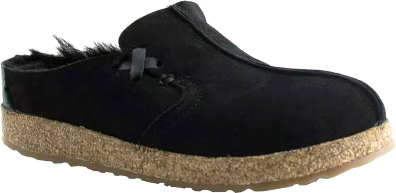 Haflinger Saskatchewan 3 Haflinger Saskatchewan